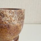 Marmer (Bloem)Potje thumbnail 3