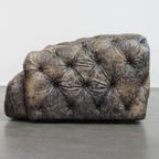 Stoere, Unieke En Moderne Rundleren Chesterfield Bank Met Een Bijzondere Kleurstelling thumbnail 15