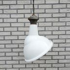 Benjamin Crysteel Parabolic Hanglamp 1950'S thumbnail 2