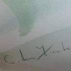 Aquarel Anemoon Van C. Ten Kaate=ineke Ten Kaate - Zonder Schade ! thumbnail 2