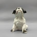 Porseleinen Engelse Buldog Pup thumbnail 4
