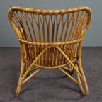 Rotan Dutch Design Belse 8 Fauteuil, 1950 thumbnail 5