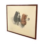 Grote Kleuren Litho Leon Danchin Jachthond Spaniël 68x55cm thumbnail 8
