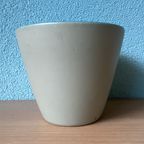 Flora Gouda Holland Flower Pot Decor “Aster” 1960S thumbnail 6