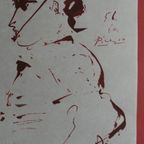 Picador thumbnail 15