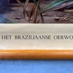 Vintage Linnen Schoolkaart – In Het Braziliaanse Oerwoud thumbnail 3