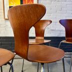 4 Early Dining Chairs By Arne Jacobsen For Fritz Hansen, 1957 thumbnail 2