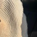 Koraalscultuur thumbnail 4