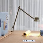 Muuto / Dedicate Table Lamp / Clamp / Brown Green thumbnail 7