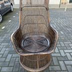 Rotan 70 Chair thumbnail 12