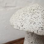Paddenstoel Terrazzo thumbnail 5