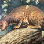Vintage Linnen Schoolkaart – Noord-amerikaanse Woudbewoners thumbnail 5