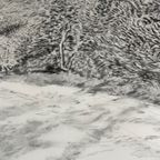 David Hockney – Woldgate, 6–7 May (2013) thumbnail 9