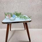 Plantentafeltje thumbnail 7