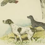 Kleuren Litho’s Boris Riab Jachthond Gesigneerd Kunst Paris thumbnail 10