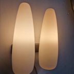 Mid-century Wandlamp Van Philips, Louis Kalff thumbnail 8