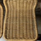 Rotan Kruk thumbnail 5
