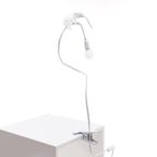 Seletti | Sparrow Taking Off Klemlamp thumbnail 4