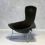 Bird Chair Harry Bertoia Fauteuil Knoll Vintage Design Stoel thumbnail 2