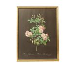 Vintage Sixties Bloemen Ingelijste Botanische Kaarten P.J. Redouté thumbnail 5