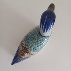Erandi Tonala. Mexico. Vintage 1960. Handgeschilderde Eend. thumbnail 4
