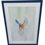 Aquarel "ijsvogel" Christine Desender thumbnail 4