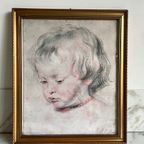 Print Van Nicolaas Rubens In Vintage Lijst. thumbnail 4