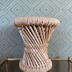 Rotan Kruk/Plantentafel thumbnail 2