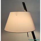 Metalarte Sinclina Floor Lamp thumbnail 7