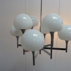 Italian Modern 8 Arm Trumpet Chandelier By Gaetano Sciolari For Boulanger, 1960S thumbnail 4