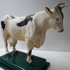 Oude Gipsen Model Van Koe Uit Slagerij, Beenhouwerij thumbnail 2