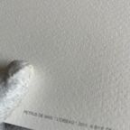 Petrus De Man, L’oiseau 2011 thumbnail 2