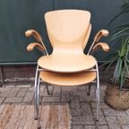 6X Bingo Eetkamerstoel Vlinderstoel Retro Design Stoelen thumbnail 13