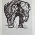 Franz Marc (1880-1916), Elefant, 1907, Printed In Italy thumbnail 3