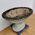 Zeer Grote Antieke Tuinvaas Bloembak Plantenbak Jardinière thumbnail 10