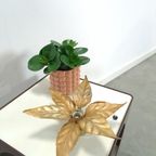Floral Willy Daro Wandlamp Massive België thumbnail 6