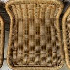 Rotan Kruk thumbnail 2