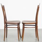 Set Van 6 Originele Antieke Jacob En Josef Kohn Bentwood Design Thonet Stoelen Uit Begin 20e Eeuw thumbnail 17
