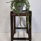 Bamboe Plantentafeltje thumbnail 8