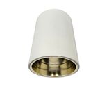 Dutch Design - Raak Amsterdam - Plafonniere - Wit Gelakte Opbouwarmatuur - Goudkleurige Spiegelre thumbnail 4