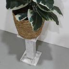 Vintage Zuil, Plantenstandaard, Pilaar - Marmer thumbnail 9