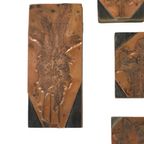 Antieke Printer Plaat Gravure Drukblok Bloemen Koper Hout Set Van 5 thumbnail 10