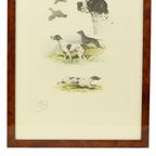 Kleuren Litho’s Boris Riab Jachthond Gesigneerd Kunst Paris thumbnail 5