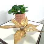Floral Willy Daro Wandlamp Massive België thumbnail 10