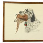 Maurice Brailly Jachthond Fazant Vintage Grafiek In Kleur 1972 thumbnail 2