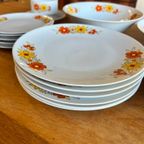 Vintage Servies Winterling Marktleuthen Bavaria Jaren 70 thumbnail 5