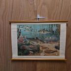 Antieke Schoolplaat Schoolkaart Noordzee Wolters thumbnail 2