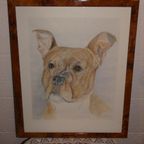 Aquarel J. Van Roey "hond". thumbnail 6