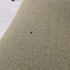 Vintage Lounge Chairs Jaren '50 thumbnail 11