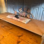 Franse Side Table Wandtafel Muurtafel thumbnail 21